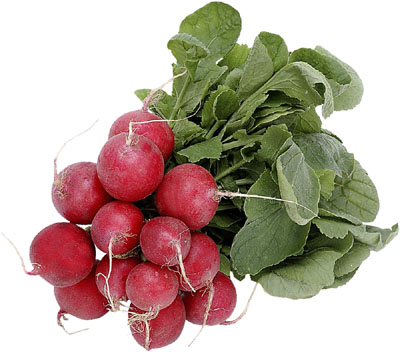 fresh radishes